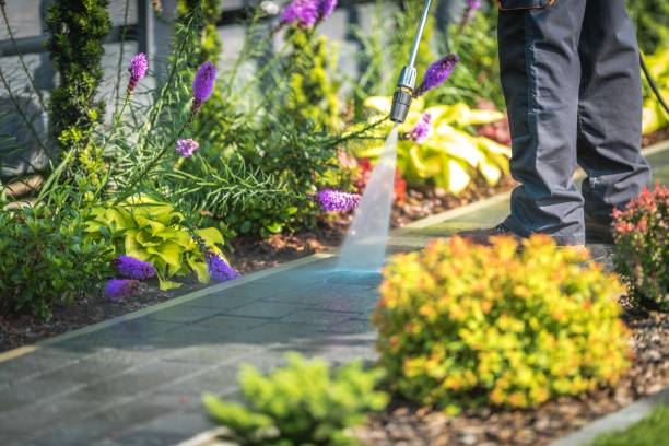 Best Parking Lot and Garage Cleaning  in Richland, GA